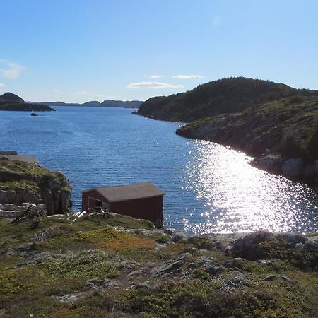 The Old Salt Box Co. - Daisy'S Place Herring Neck Esterno foto