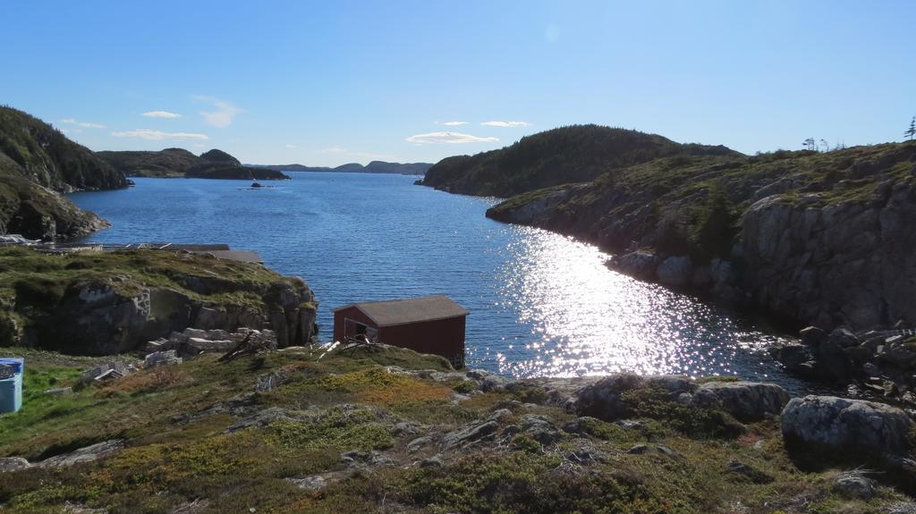 The Old Salt Box Co. - Daisy'S Place Herring Neck Esterno foto
